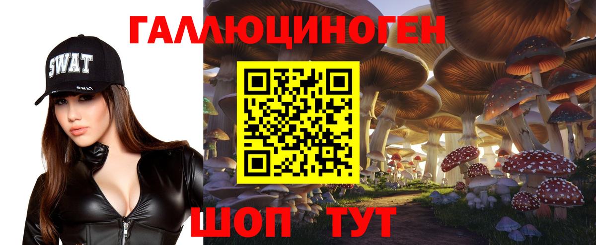 Галлюциногенные грибы MAGIC MUSHROOMS  Вход с VPN  Усть-Лабинск 