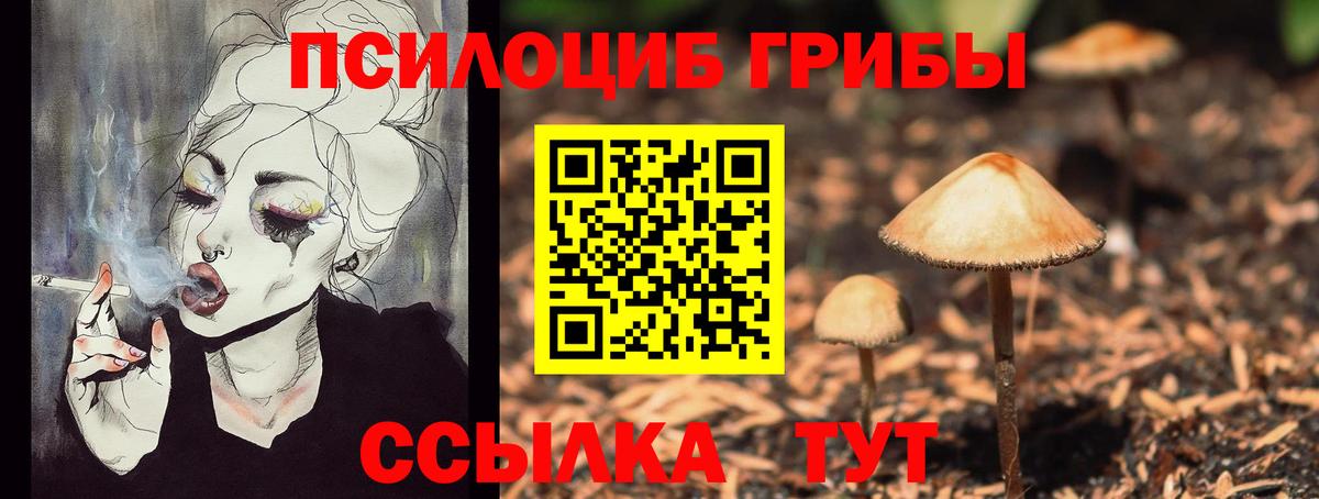Псилоцибиновые грибы прущие грибы Усть-Лабинск
